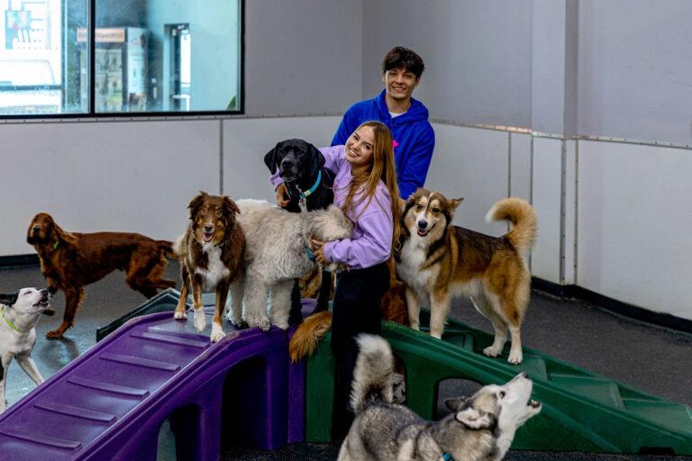 Premium Canine Retreats