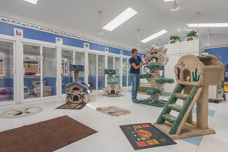 Supervised Play & Outdoor Adventures