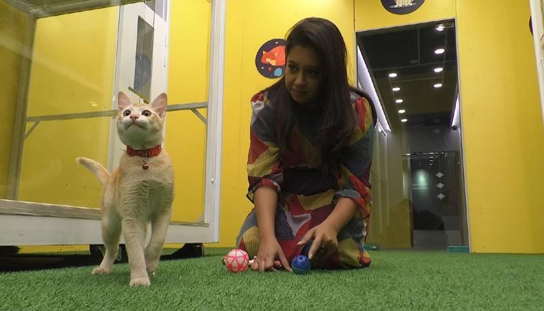 A Day in the Life: Comfort and Care at Zionarahix